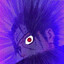 Fujary