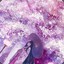 崇宫