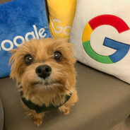 #MYRUST googl dog