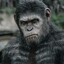 Ape Cea