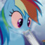 raindbow dash on weed