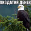 main БАРБОС