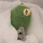 Kermit The Sapo