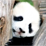 电脑玩家熊有钱