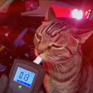 ака BLitzZz's avatar