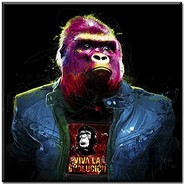 StronkyKong
