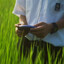 aaaa