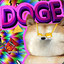 DOGE