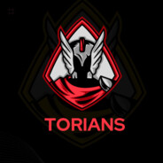 torians - steam id 76561199404733470
