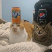 Fent & Bepis