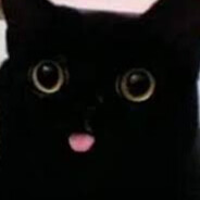 k1cks - steam id 76561197980196801