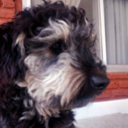 Rufito
