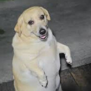 BiBA