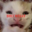 shmonka