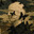 SLY avatar