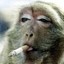 Blazin Monkey