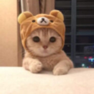 lMuTol - steam id 76561199405921211