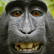 маркич - steam id 76561199565298876