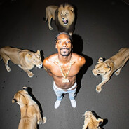 Gibby The Hood Wizard