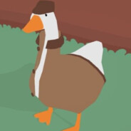 Gods Silliest Goose