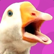 QuackMaximus