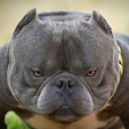 abez9na ✪БаРаШ✪