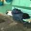 lucaxrangel