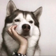 不会有人不开挂吧