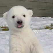 кроссовки т-банк