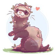 Weasel_War_Dance15