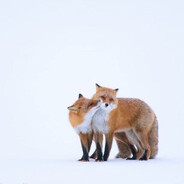 ↓↑←↓↑→↓↑