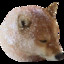 PurroCandy