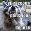 WackyRaccoon