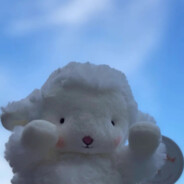 小杨不准！QaQ！