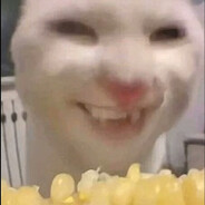 吃玉米的cat