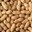 Peanut