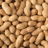 Peanut