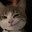 man lyke s2razzle Steam avatar