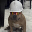 King_Chelo