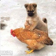 吃鸡的土狗