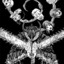 SteviaLikeTruvia