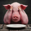 Broken Piggy