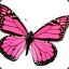 PinkButterfly