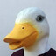 Mr. lenyk