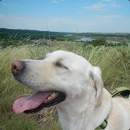 Sandie Catfish - steam id 76561197961373207