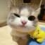 yawn♥ ҉҈҉҈҈