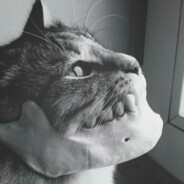 SIFF