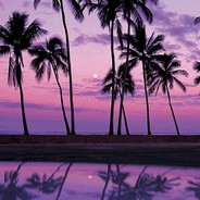 现在你还一个人吗