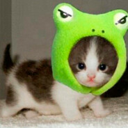 Meow