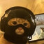 [WR] Gruffi ♥